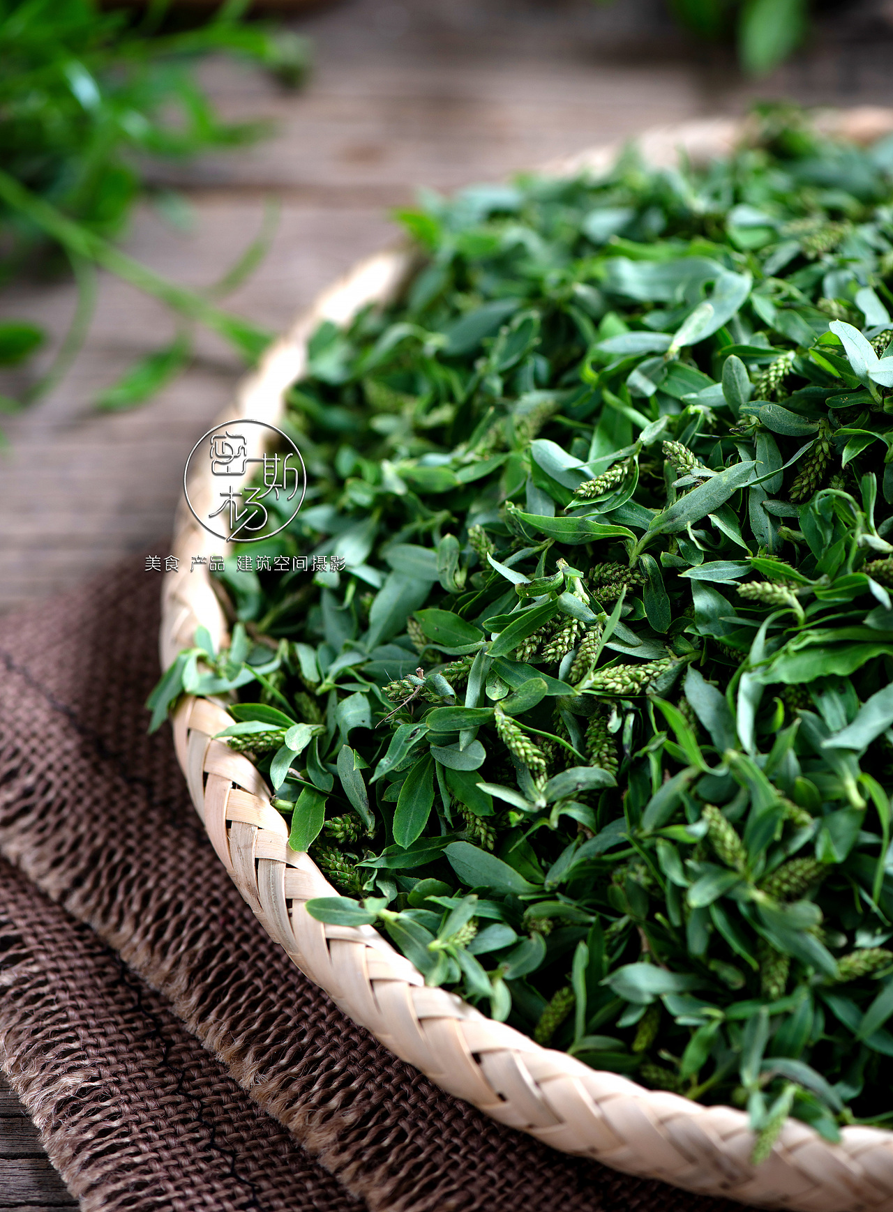 一组纯纯的野菜作品--白蒿 荠荠菜 柳叶 苦菊 蒲公英