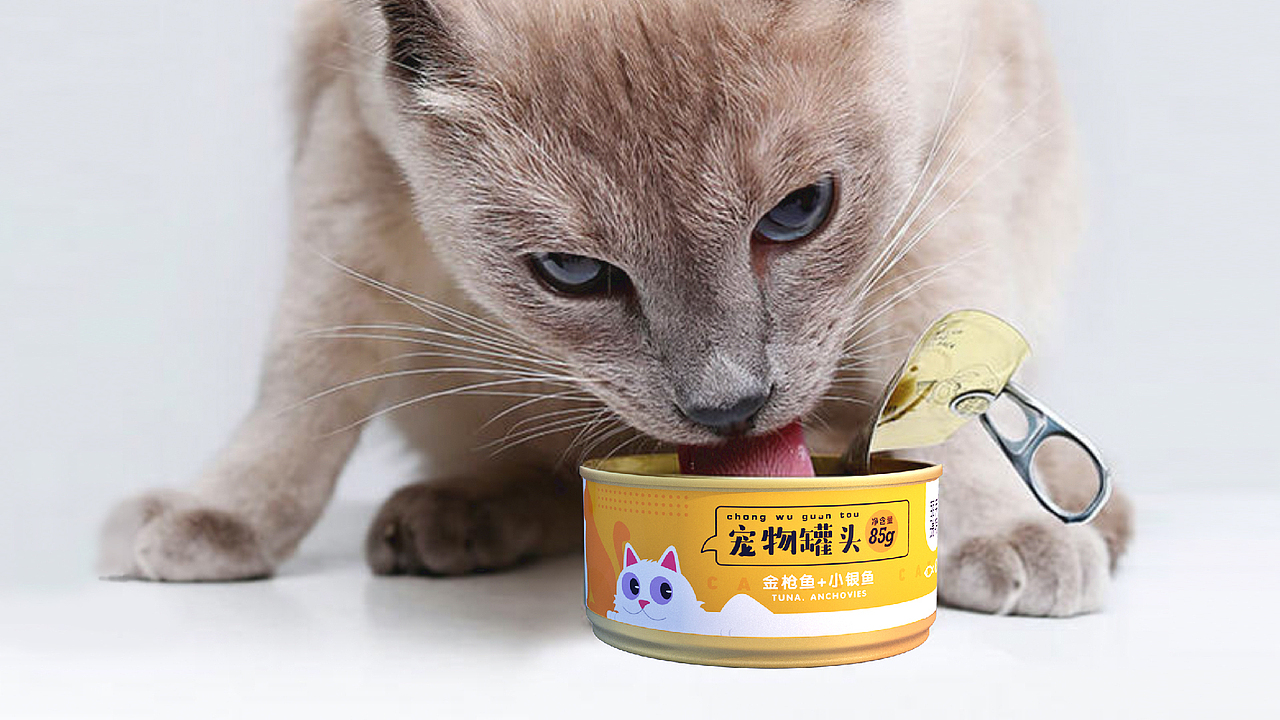 宠物罐头包装设计提案