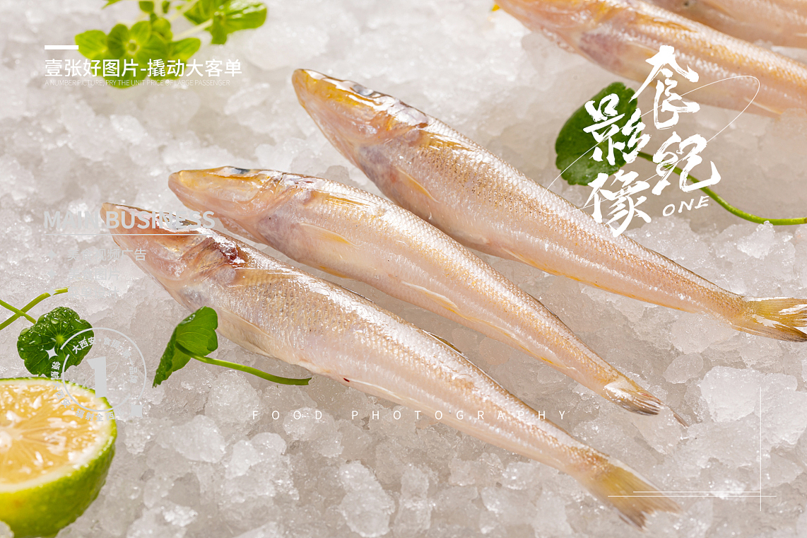 #冰鲜#海鲜#冻货#带鱼生蚝#扇贝#螃蟹#西安美食摄影（图ZMzQ3NzE5Nzc2） - 美食摄影 - 站酷设计师西安食纪影像原创素材 - 站酷ZCOOL