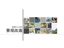 景观