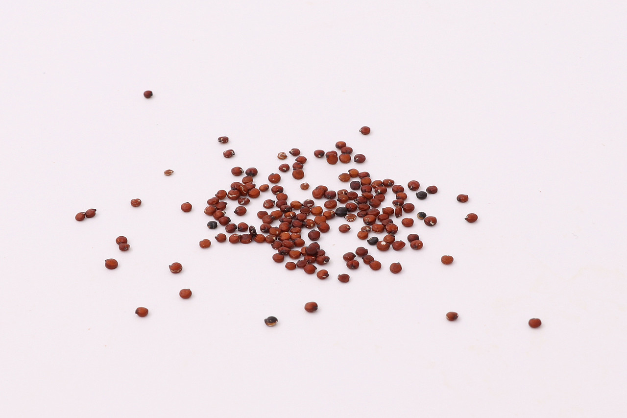 B06粮油米面\C05-米面杂粮\V16红藜麦X1-QM