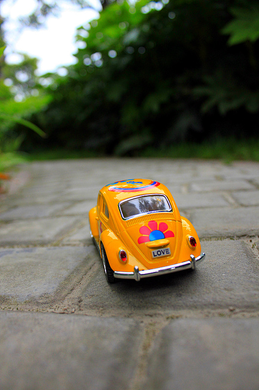 摄影-小车的旅行之遇见森林里的蓝精灵