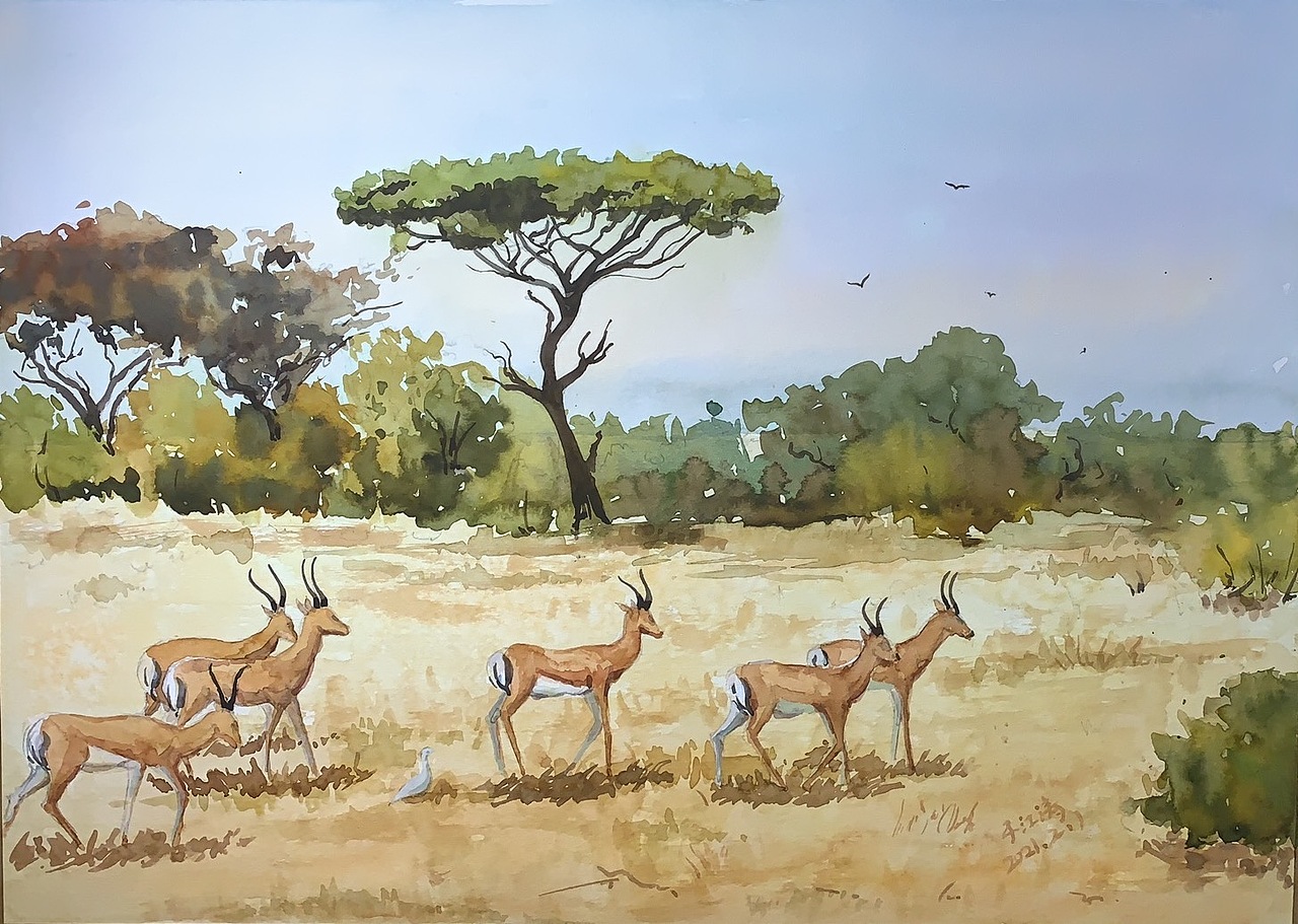 水彩——非洲草原|纯艺术|绘画|超鱼不会飞jt_原创作品-站酷zcool