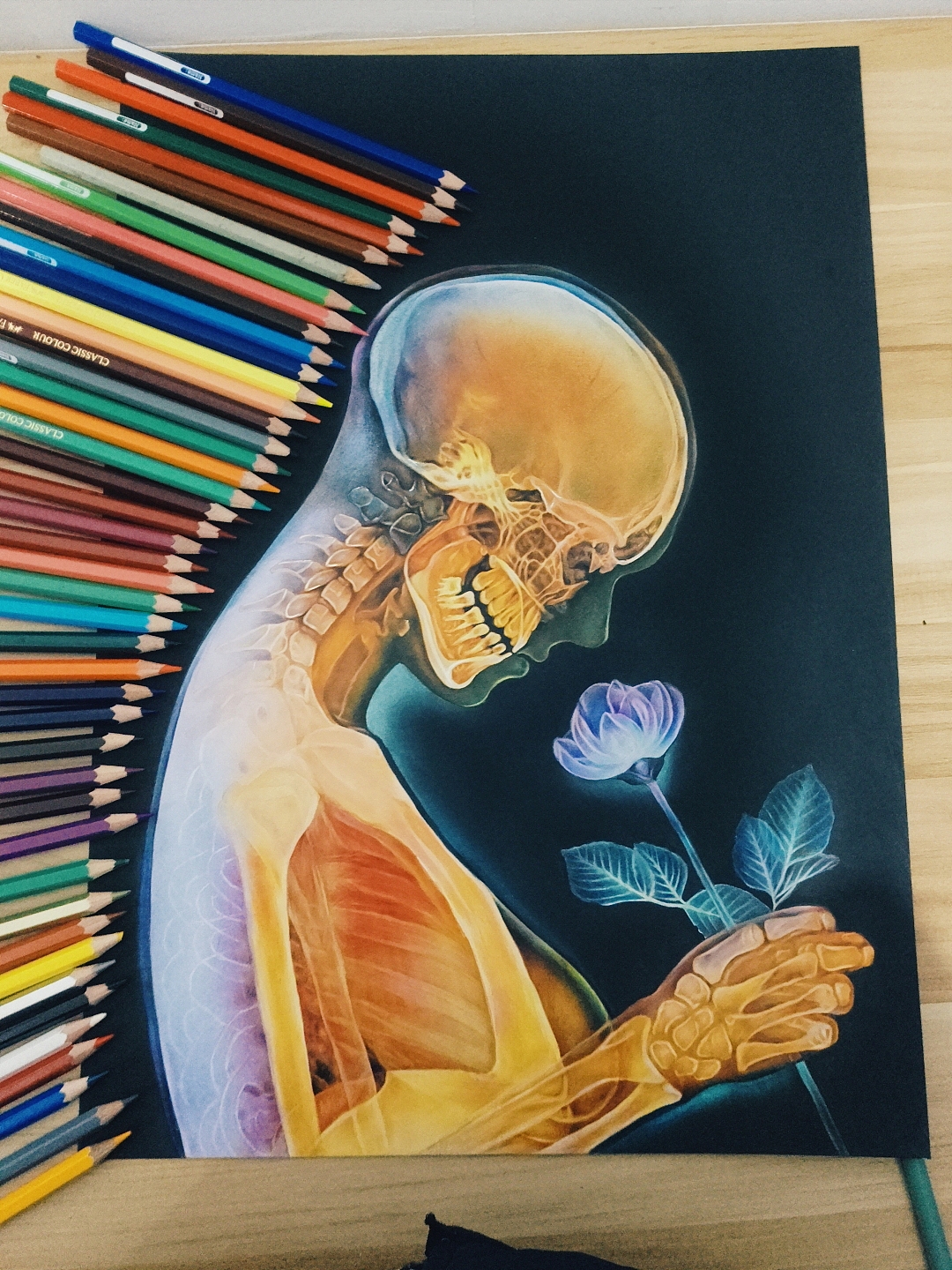 2019第一张彩铅画