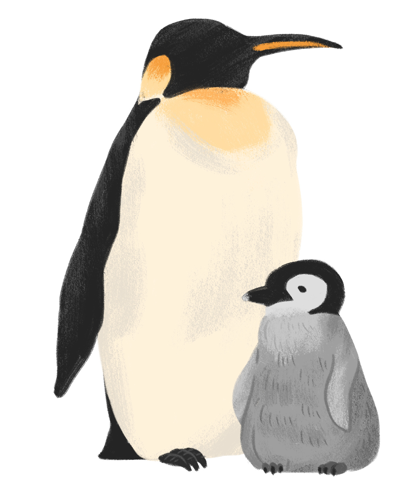 地球守卫者#保护生态|插画|商业插画|xinky_原创作品-站酷zcool