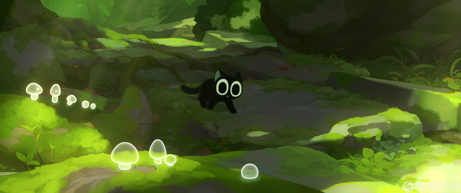 C略略的個(gè)人主頁（背景預(yù)覽） - 主頁背景設(shè)置 - 站酷設(shè)計(jì)師C略略原創(chuàng)素材 - 站酷ZCOOL