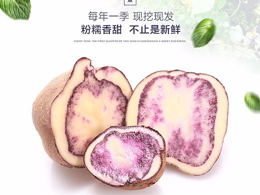 众筹紫土豆 详情页
