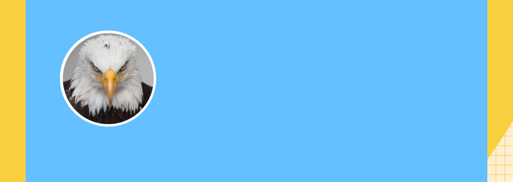 好奇心研究所推文（圖ZMjU2Njc5ODA4） - 其他平面 - 站酷設(shè)計(jì)師銘舍原創(chuàng)素材 - 站酷ZCOOL