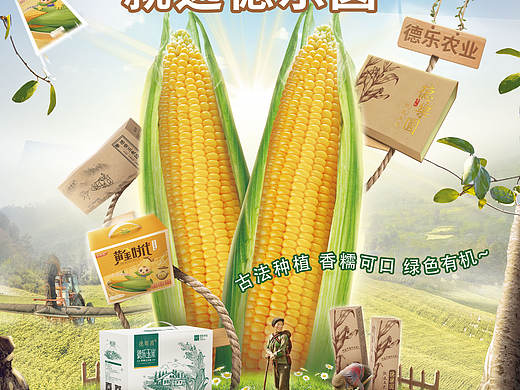 玉米宣传海报