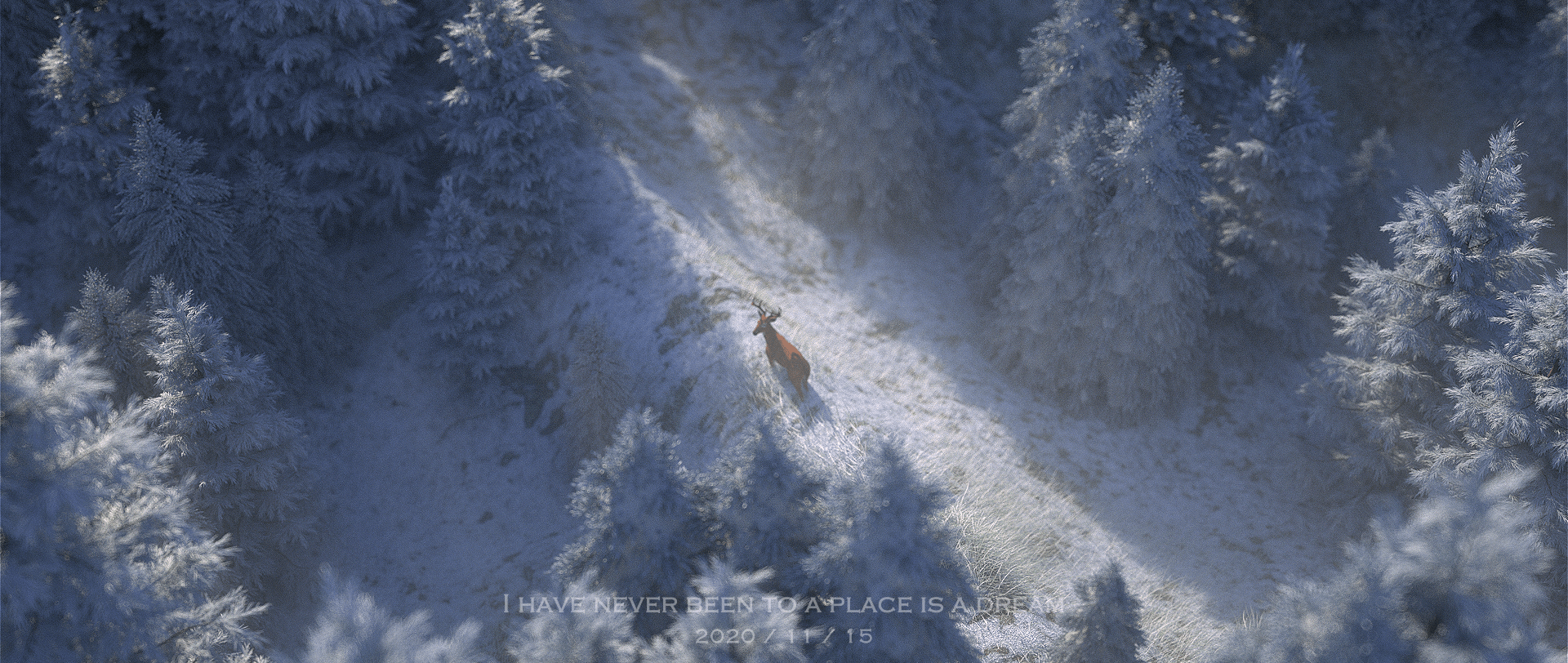 吃一块cookie丶的个人主页（封面预览） - 主页封面设置 - 站酷设计师吃一块cookie丶原创素材 - 站酷ZCOOL