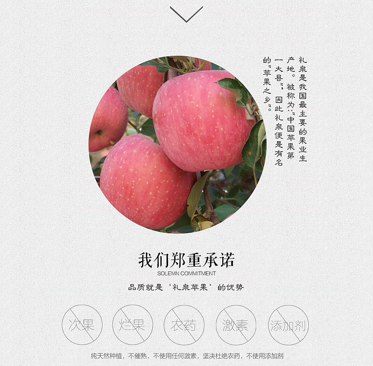 红富士苹果（图ZNjM2ODQzMDA=） - 电商 - 站酷设计师楠楠花语原创素材 - 站酷ZCOOL