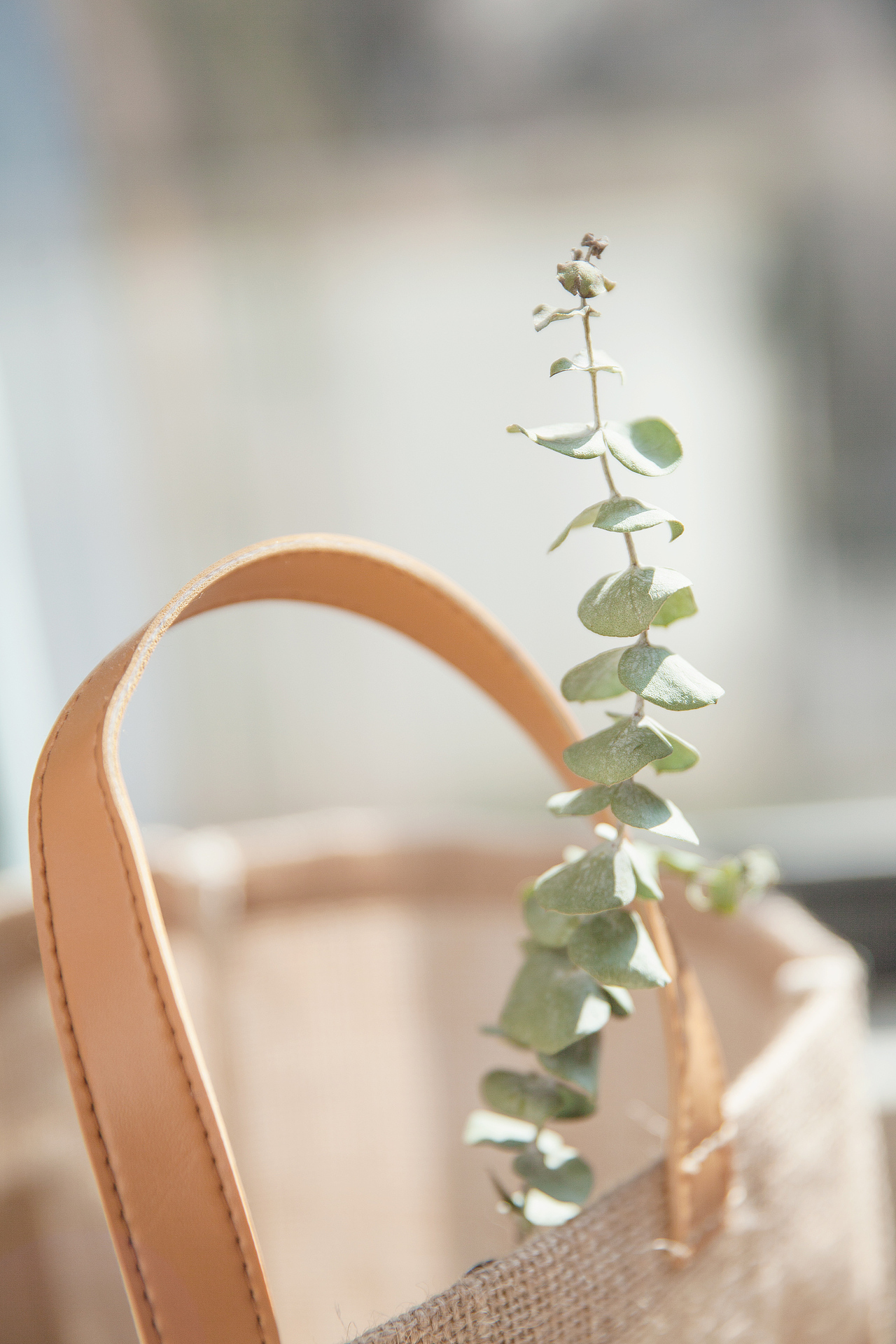 「动动小手指 大腿会变瘦」