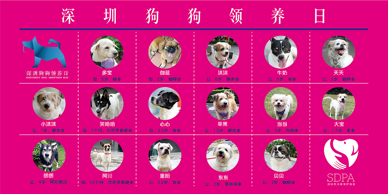 深圳市第三届狗狗领养日 视觉设计（图ZNTQwMzcwMjg=） - 图案 - 站酷设计师一颗大牙原创素材 - 站酷ZCOOL