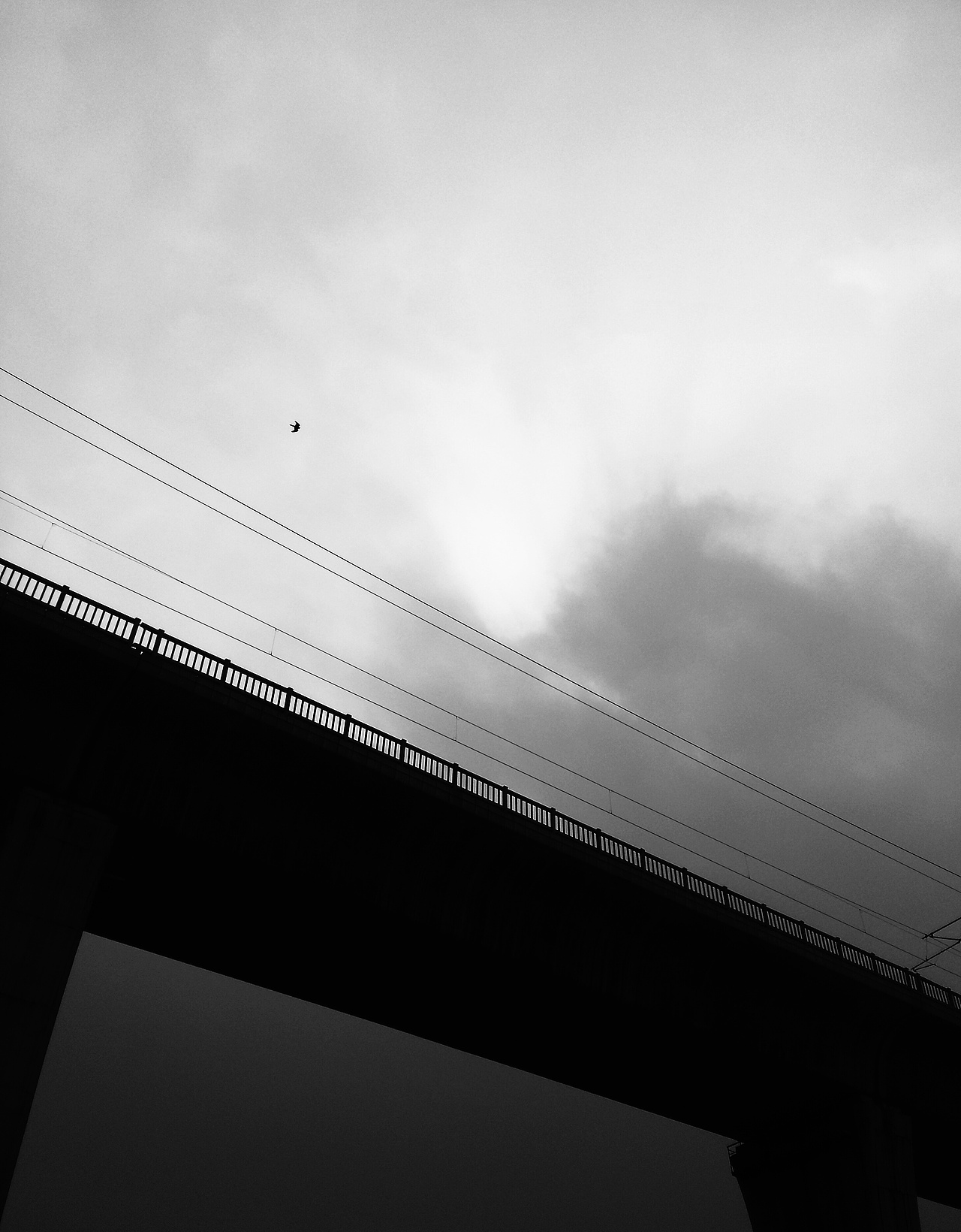 时间：2015-01-16
地点：南京（学车的立交桥下）