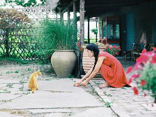 「 四 葉 草 堂 · Garden dream 」