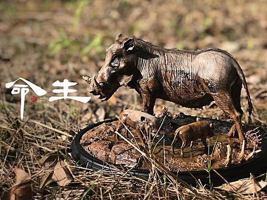 QueenStudios 生命系列产品-疣猪