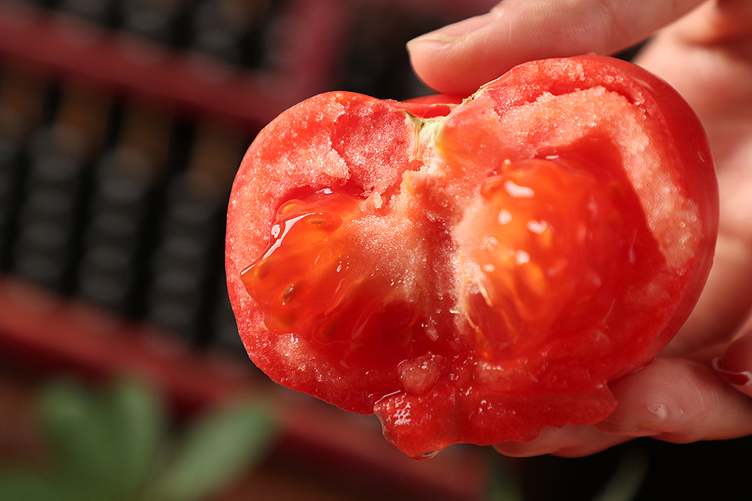 春暖花开,毛粉柿子成熟的季节了