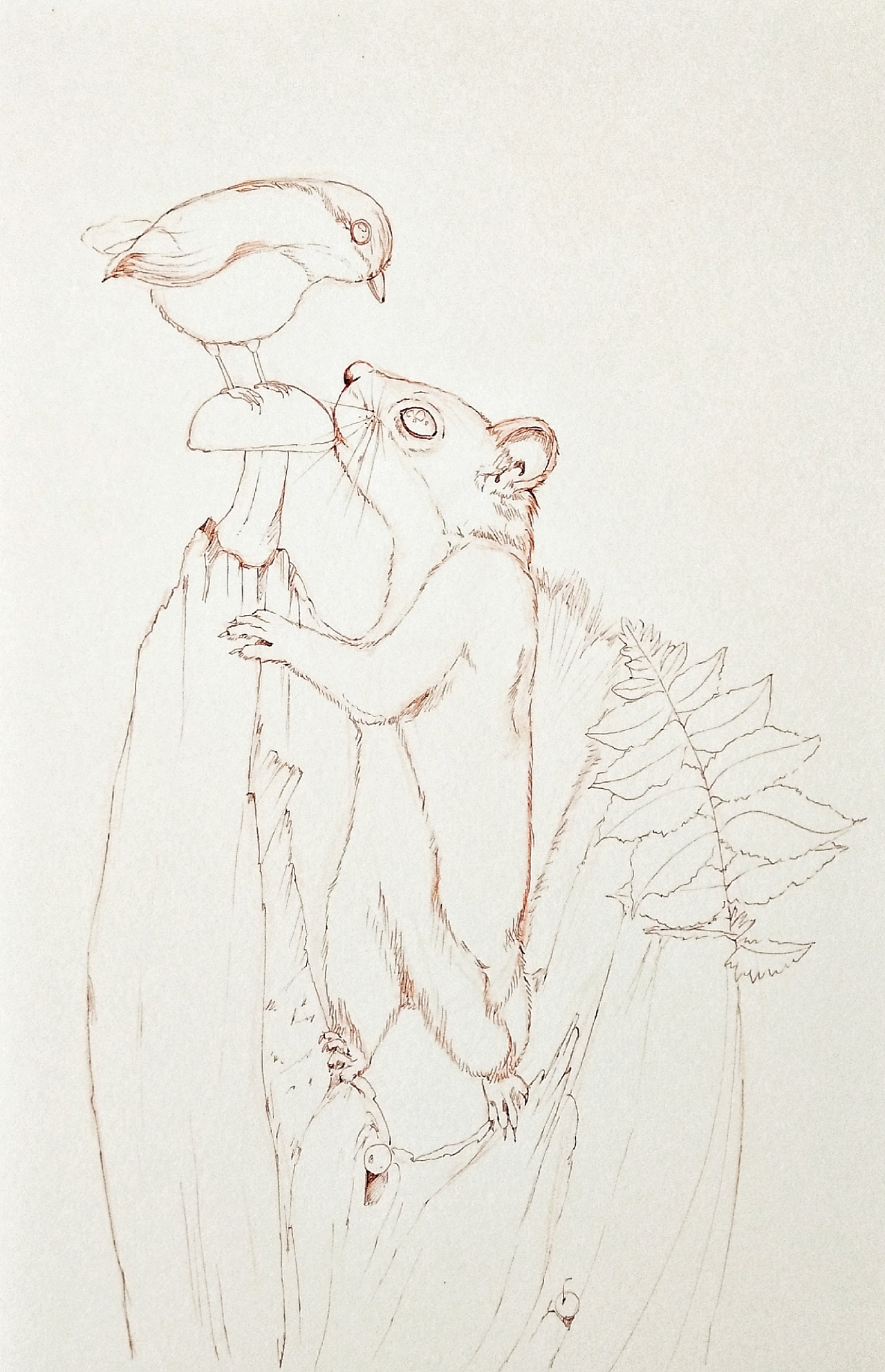 水彩松鼠🐿（图ZMTc4NDcwMDQw） - 绘本 - 站酷设计师ArleneC原创素材 - 站酷ZCOOL