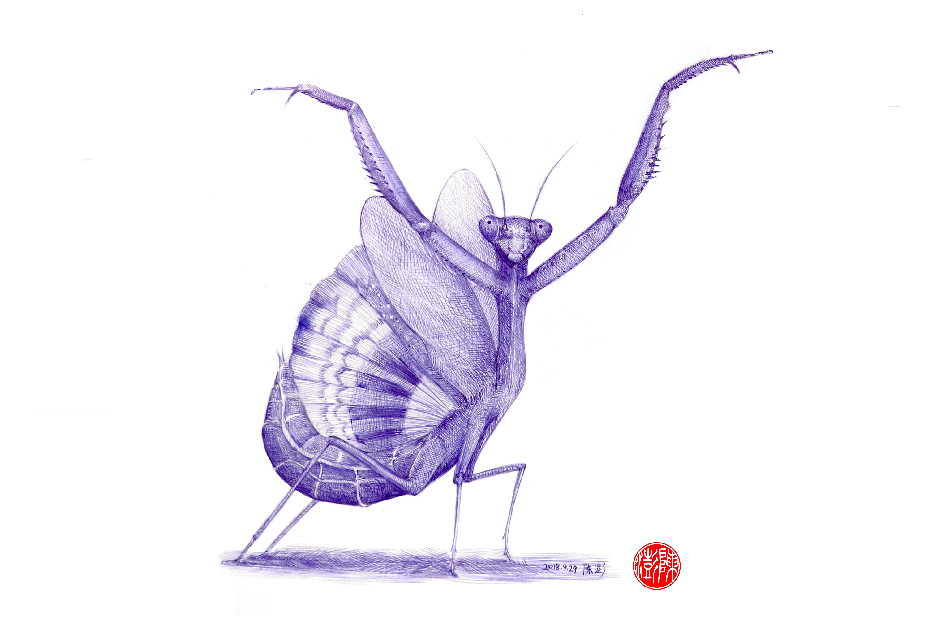 《螳螂战士》|动漫|绘本|团子与叮铛 - 原创作品 - 站酷 (ZCOOL)