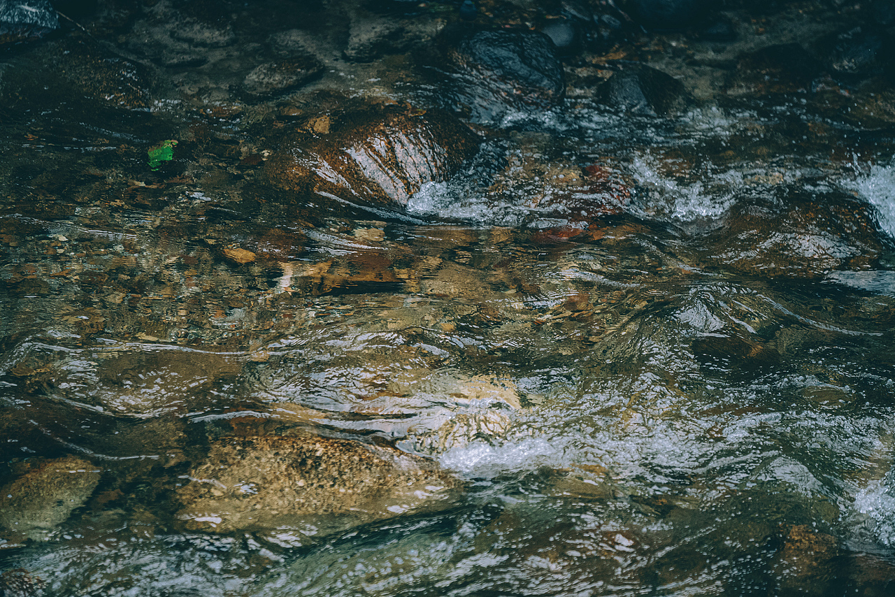 西南以南 | 春季 | 山林 | 溪流