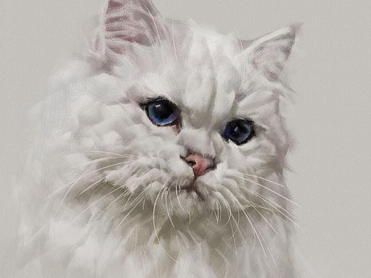 白猫