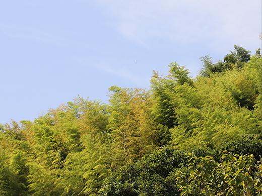 风景摄影