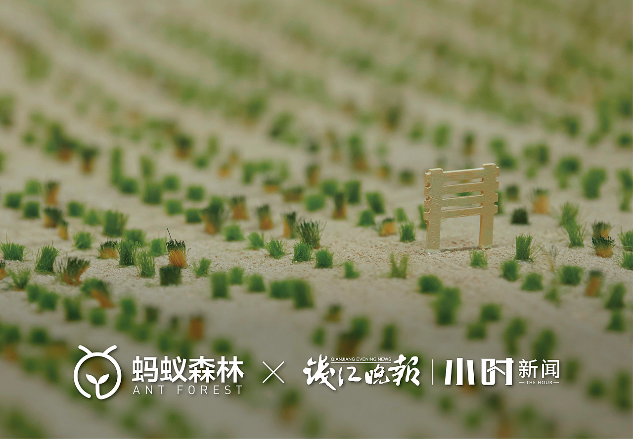 森林里 · 城市里的荒漠森林