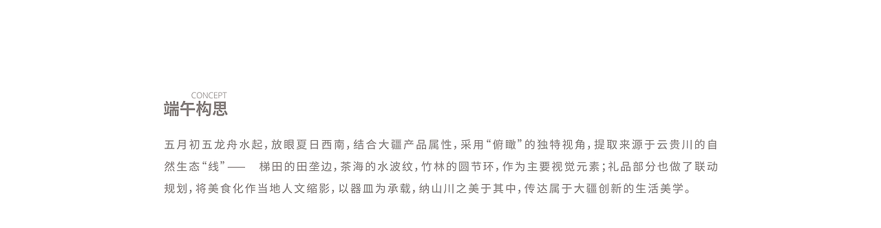 DJI大疆创新 - 2021年度员工福利——端午礼盒