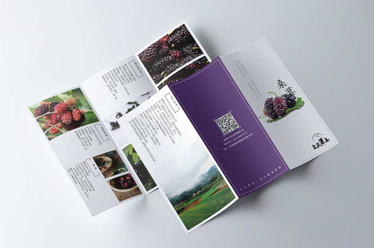 桑葚产品三折页（图ZODAxNTg2MjQ=） - 宣传物料 - 站酷设计师王大力1223原创素材 - 站酷ZCOOL