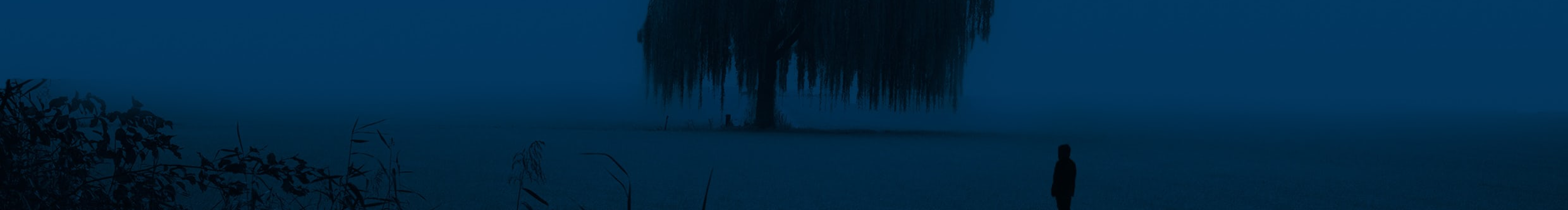 樓下那只貓的個人主頁（封面預覽） - 主頁封面設置 - 站酷設計師樓下那只貓原創(chuàng)素材 - 站酷ZCOOL