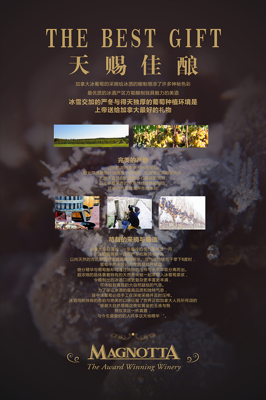 来公司实习做的广交会海报 关于冰酒 葡萄酒