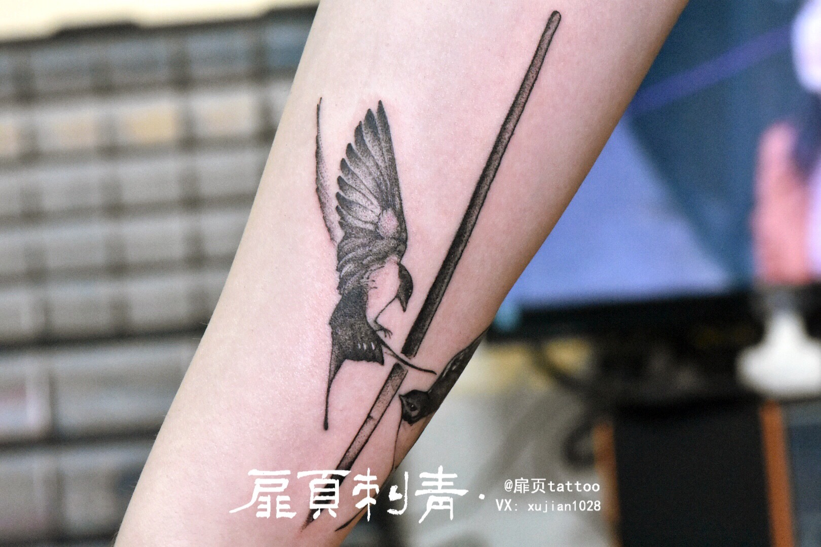 纹身手稿素材第527期：燕子_纹身百科 - 纹身大咖