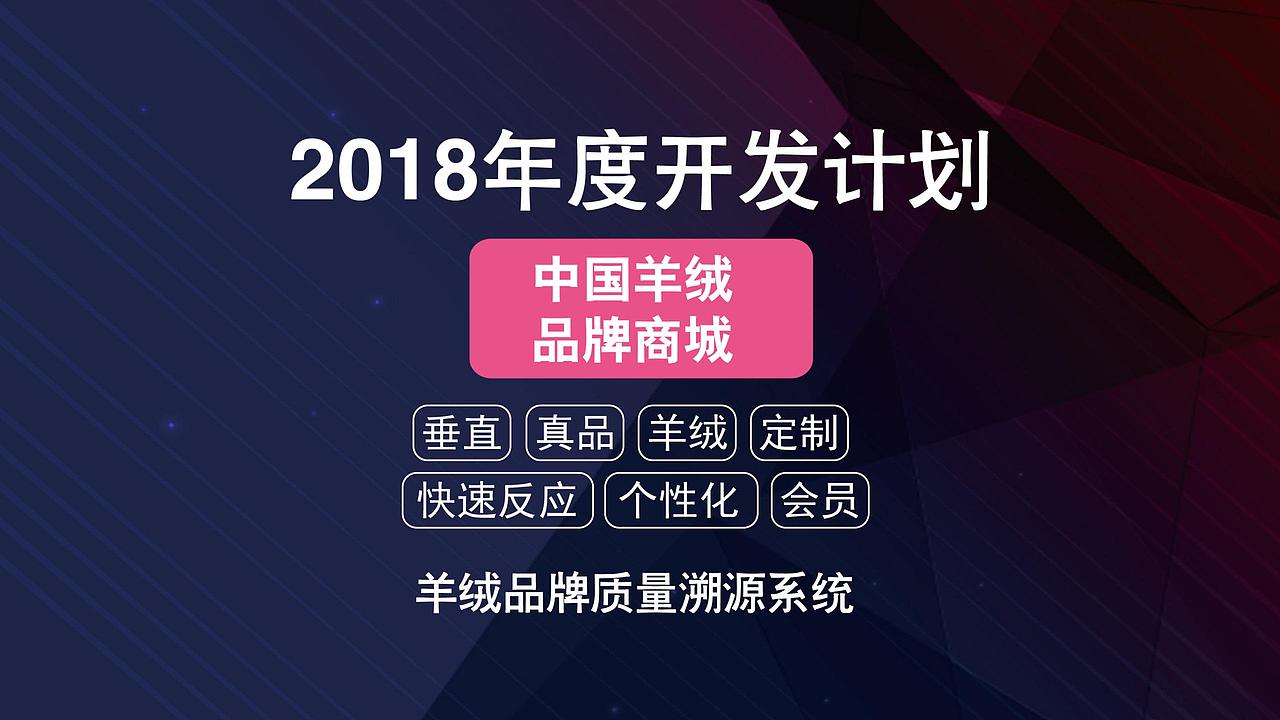 RONGFANZI绒贩子羊绒产业升级项目发布会PPT