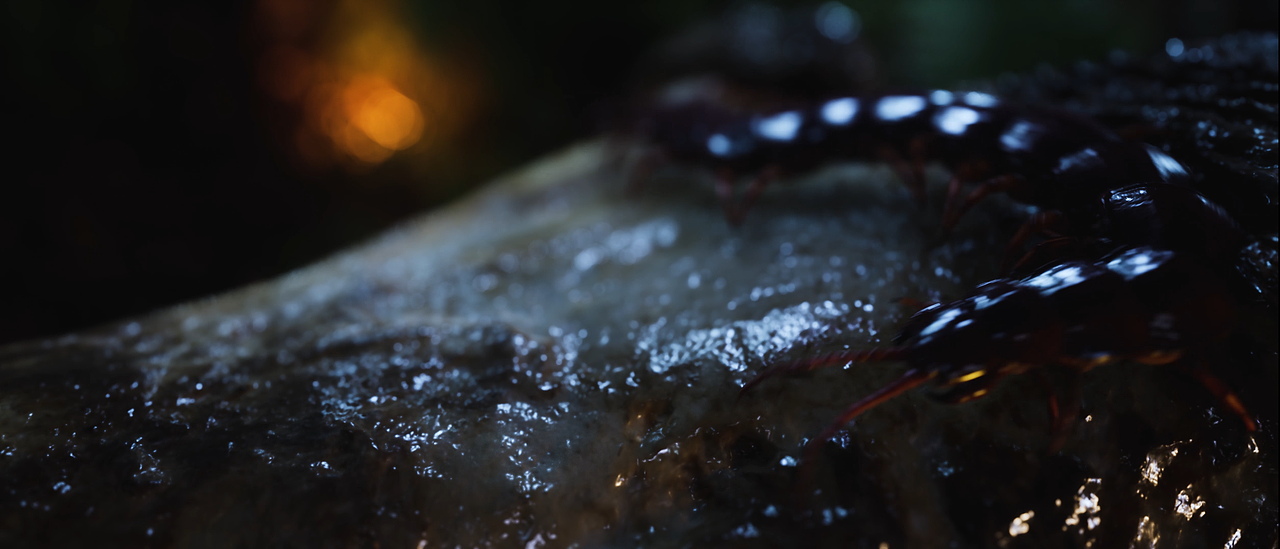 【虚幻】夜景练习