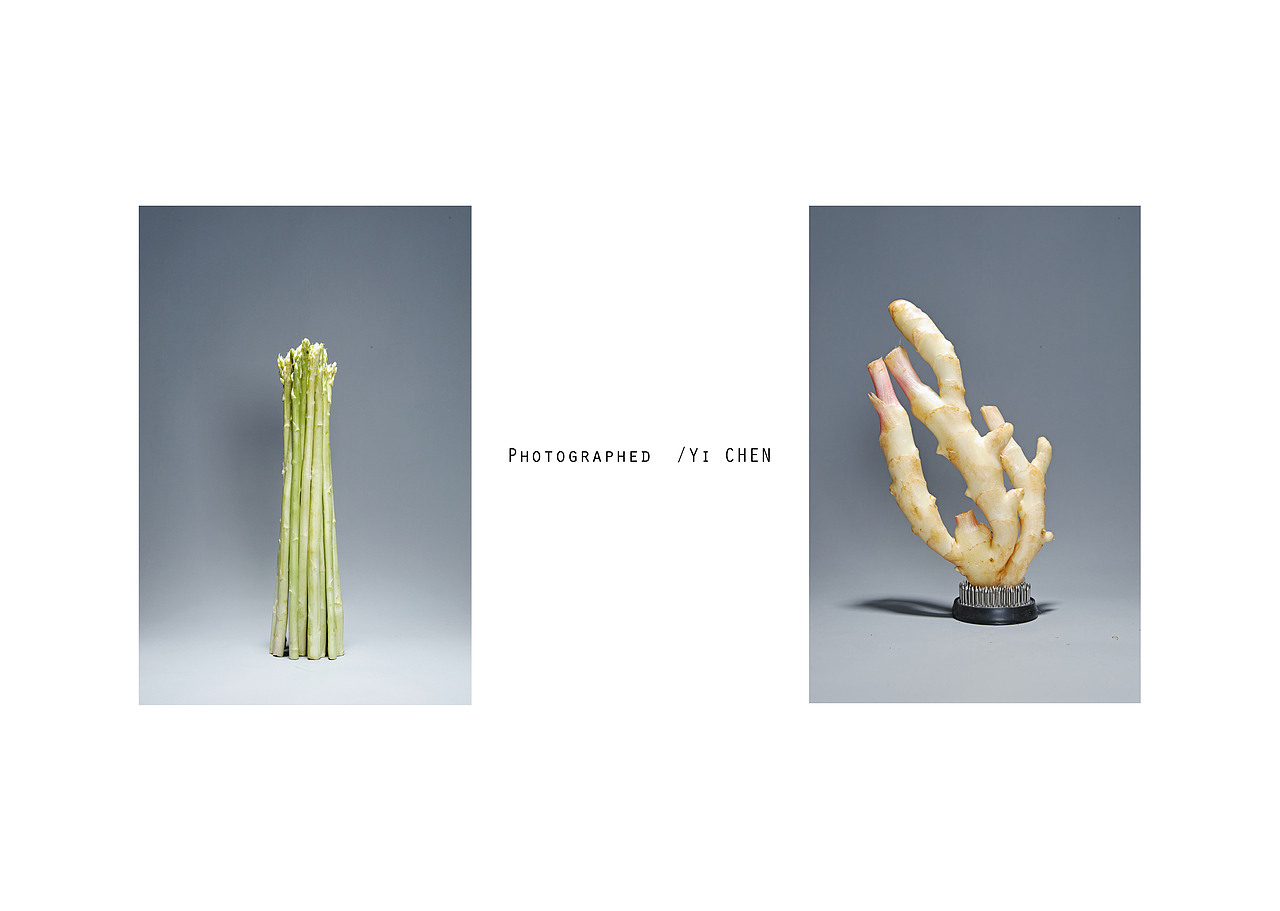 物 | 静止的时间