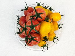 貴州麻江圣女果