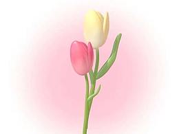 電商設(shè)計(jì)