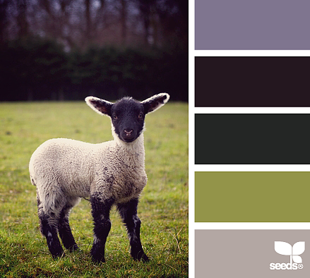 美丽的配色卡啊——04