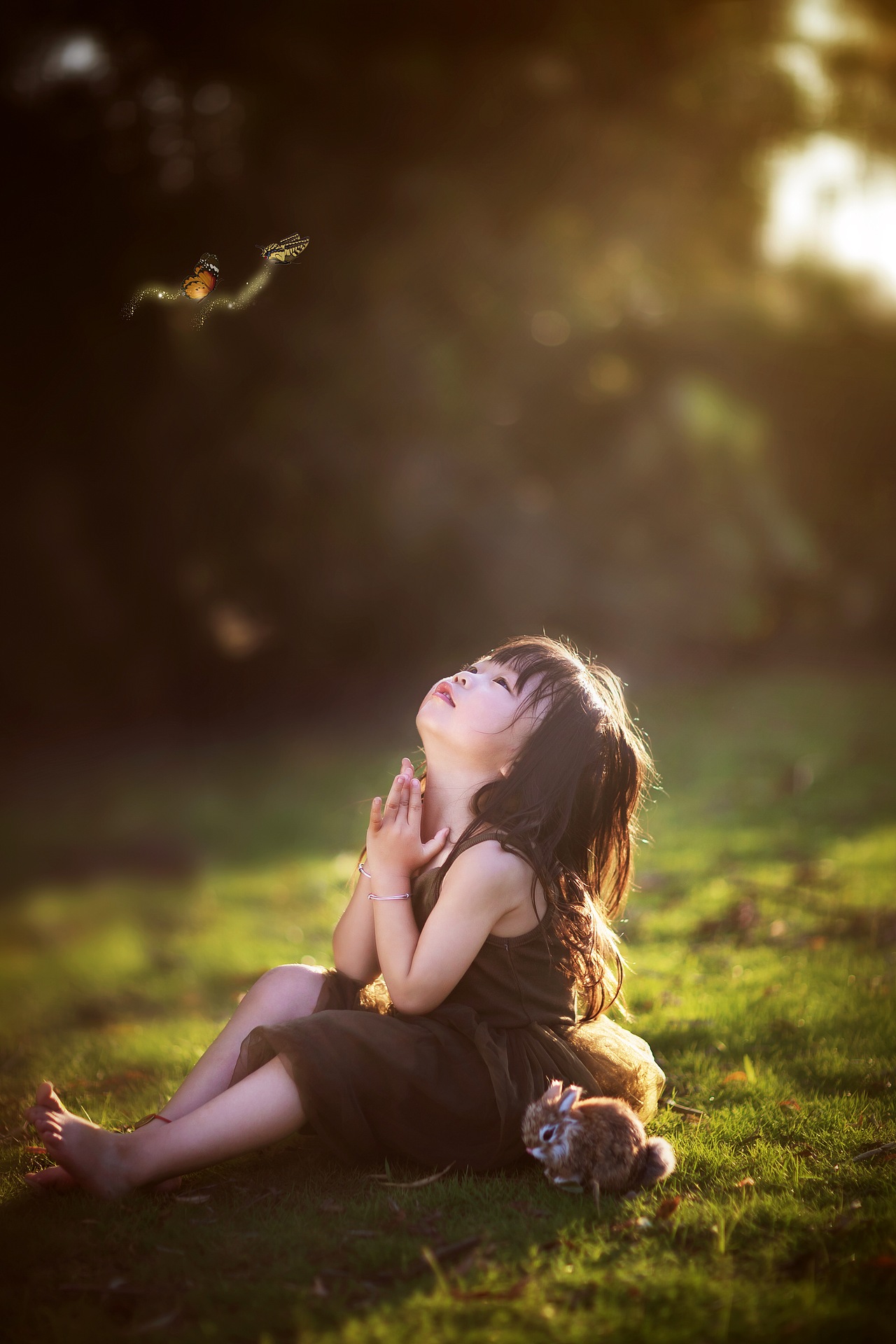 这个夏天:ideograph_advantage:故事