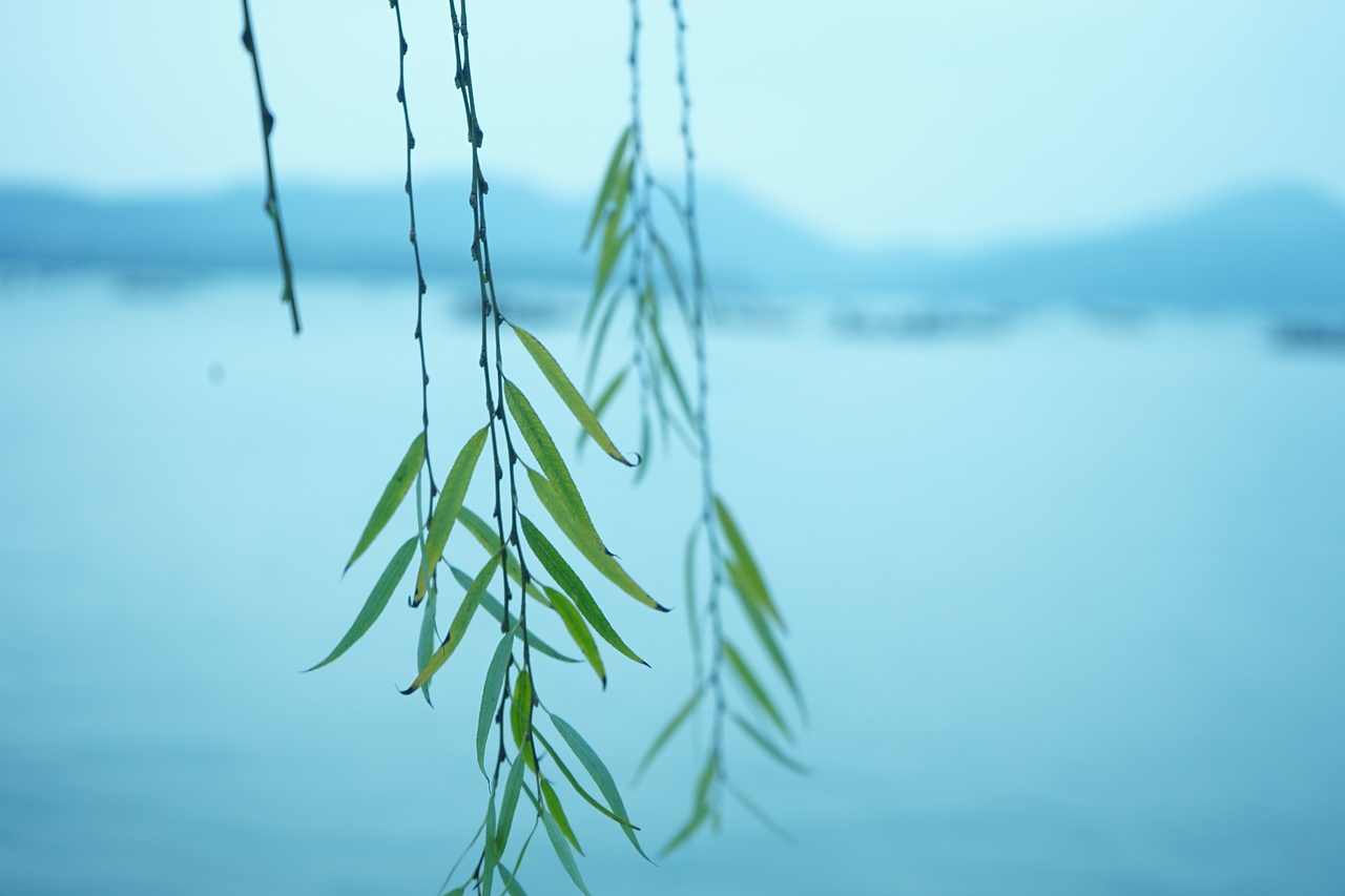 顺道来西湖拍几张照