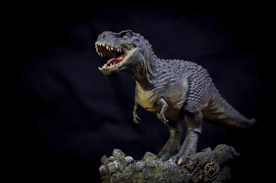 激情充电器出品~金刚v暴2.