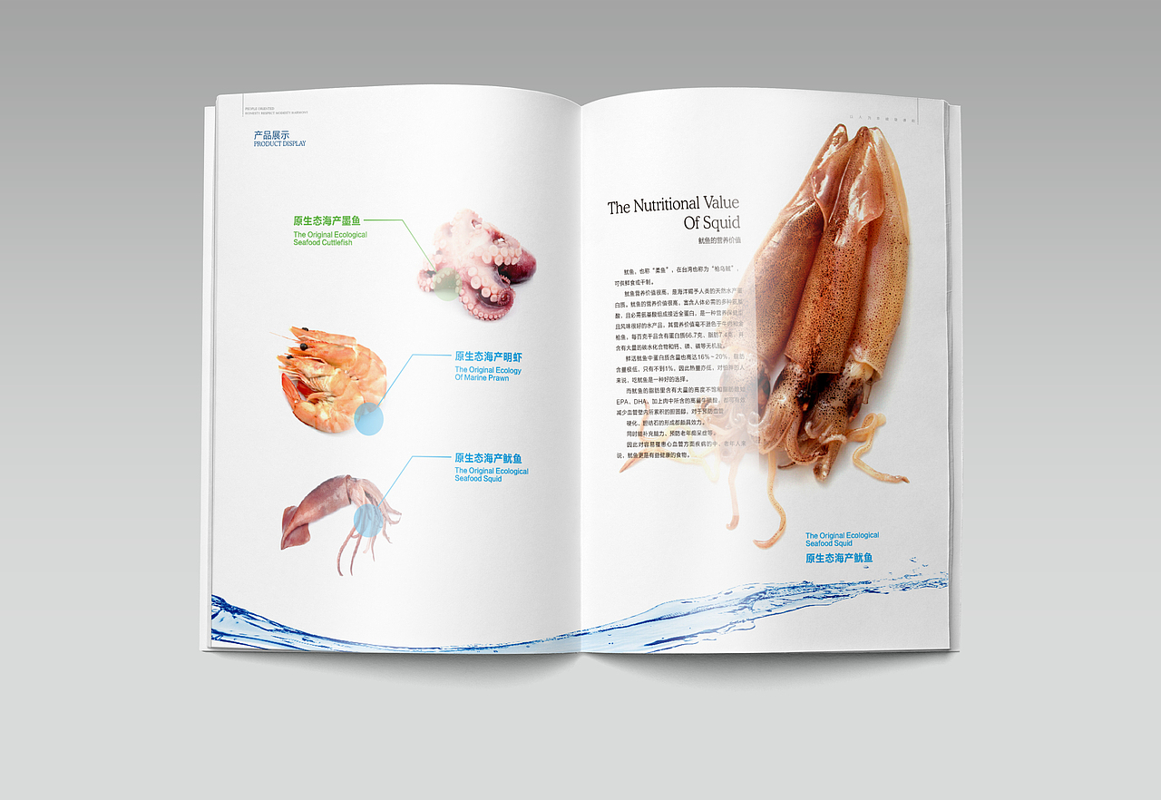 食品公司宣传画册