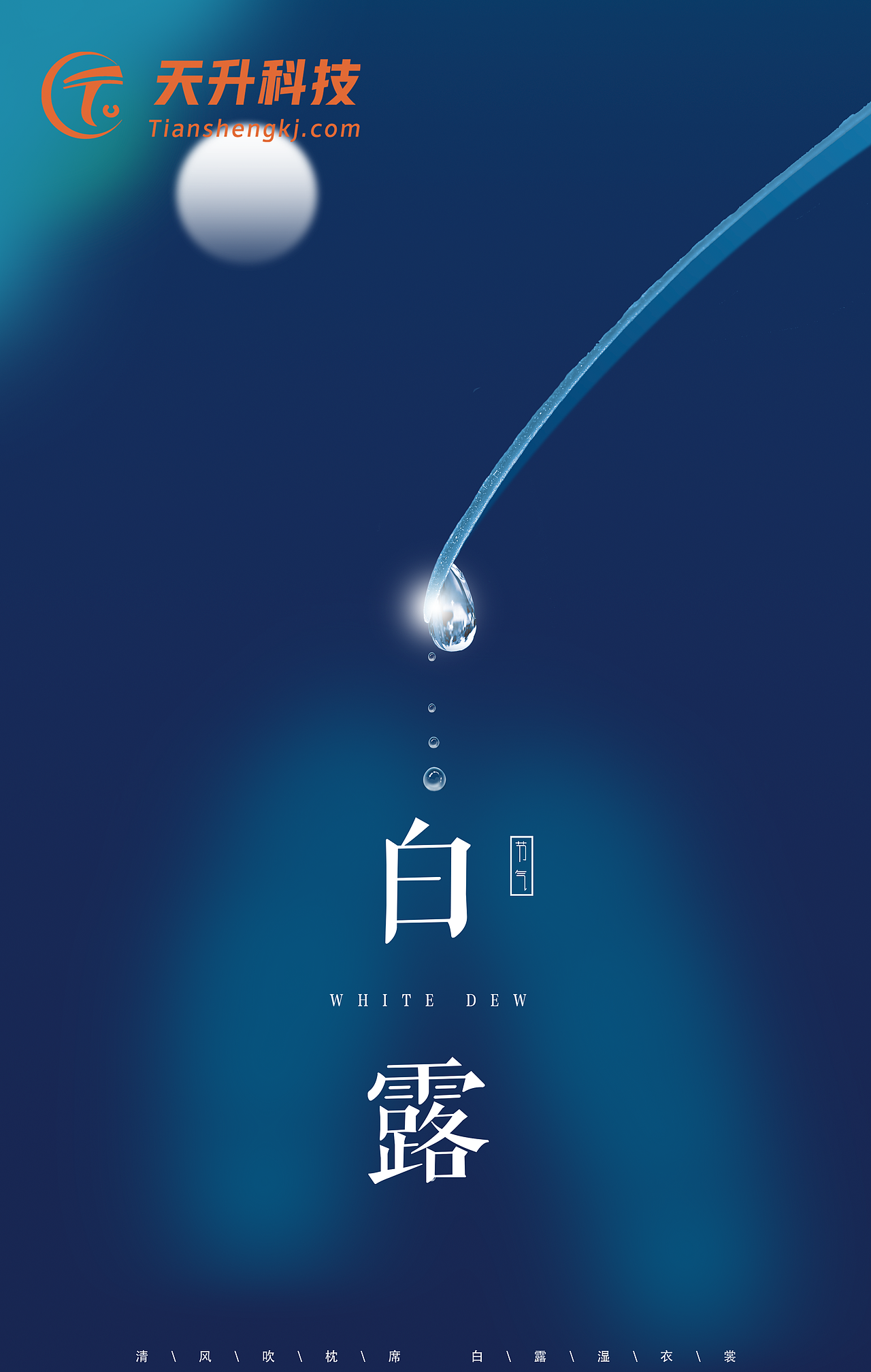 白露（图ZMjIxMTA5NjQw） - 海报 - 站酷设计师壹个射鸡师原创素材 - 站酷ZCOOL