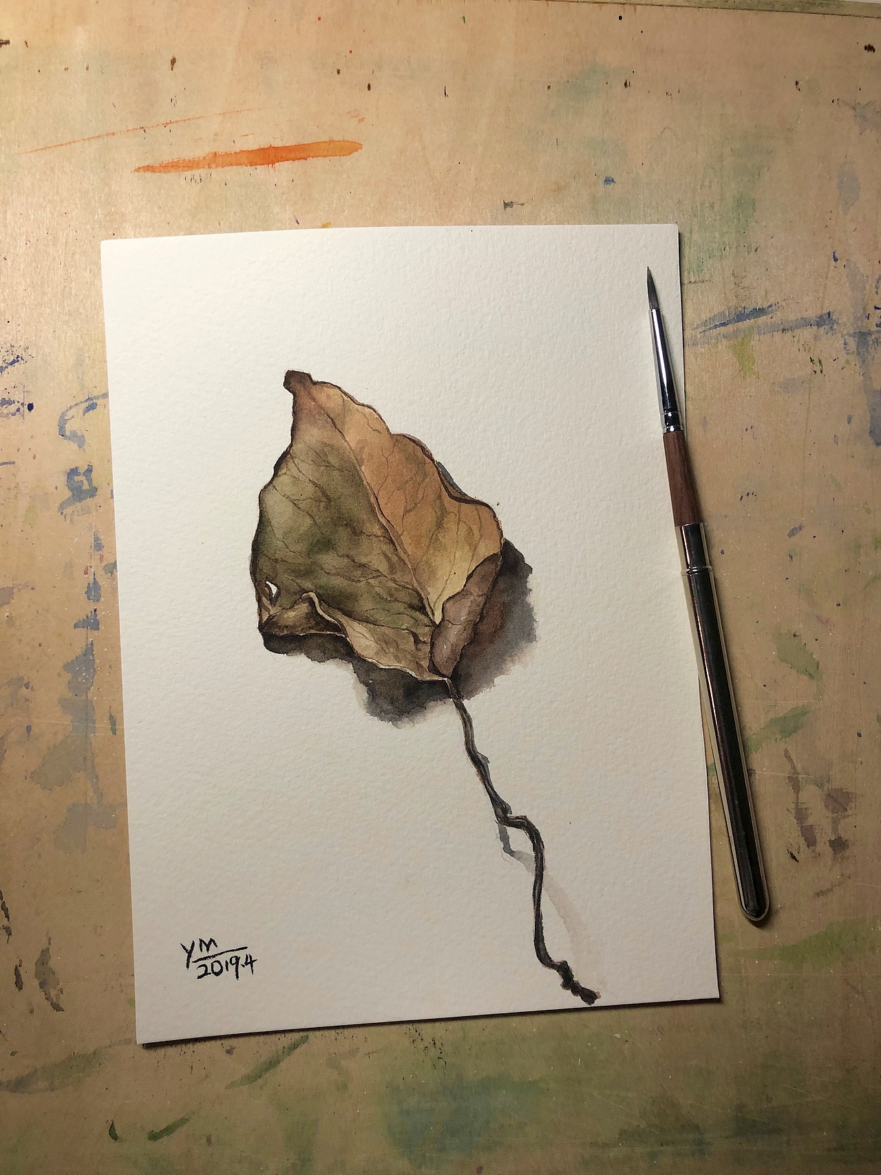 枯叶|插画|创作习作|dreamxym_原创作品-站酷(zcool)