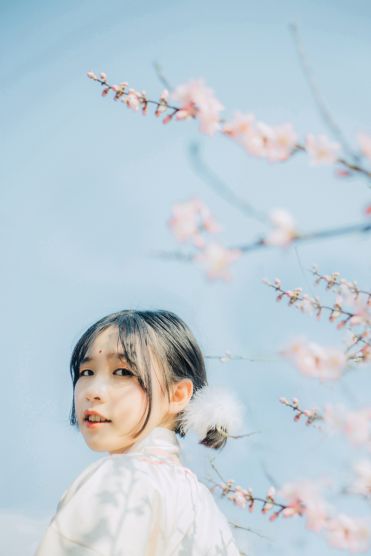 【桃之夭夭，灼灼其华】