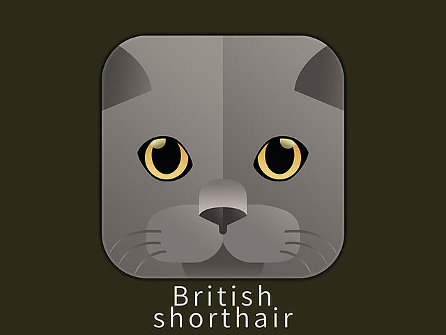 百日斩——（小卷）猫（图ZNzQxNTU0Mjg=） - 图标 - 站酷设计师嘿大叔原创素材 - 站酷ZCOOL