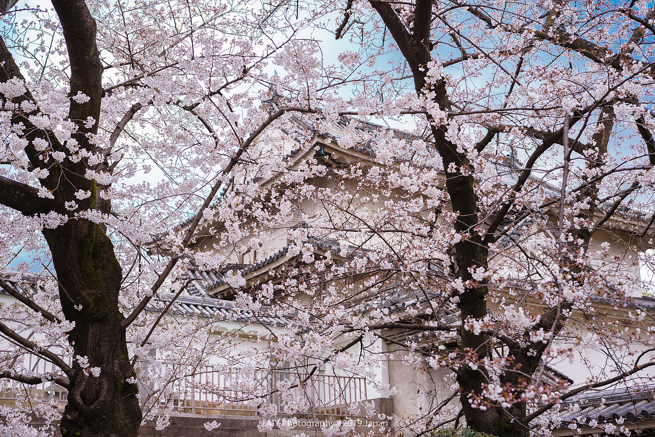 大阪城公园（图ZMTU3NTMzNjYw） - 风光摄影 - 站酷设计师燕麦记摄影王小麦原创素材 - 站酷ZCOOL