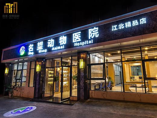 名望精品动物医院竣工实景作品【 隐里▪空间设计】