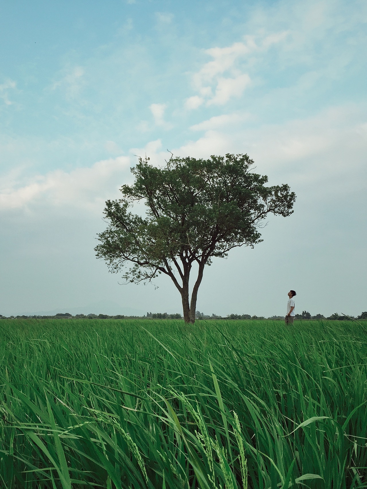 2017手机摄影作品集