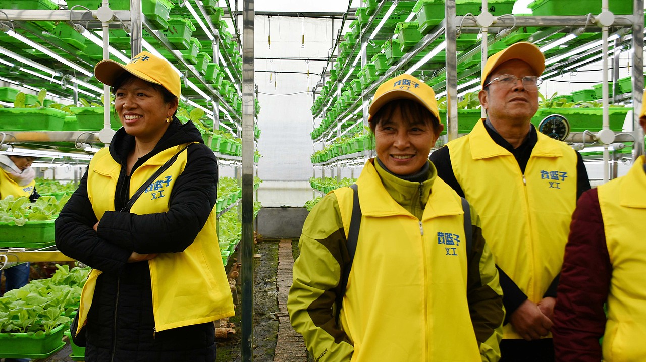 黄篮子生鲜连锁图片素材库 - 站酷图片网